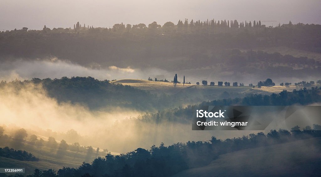 tuscany Brume matinale - Photo de Activité de loisirs libre de droits