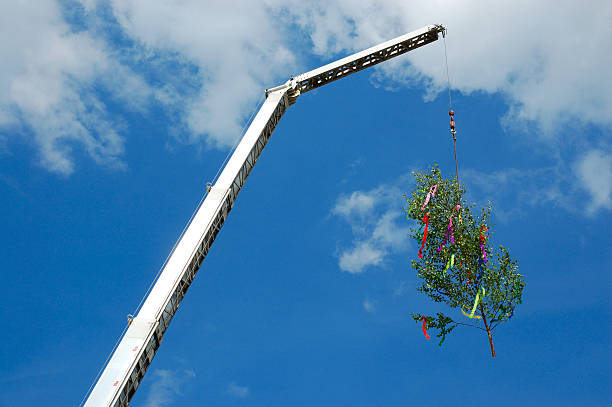 Gru sollevamento albero decorato - foto stock