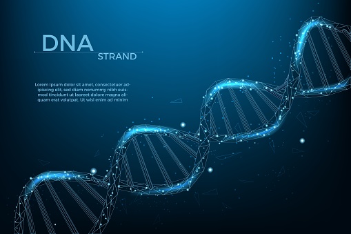 3d dna wireframe, health medicine banner template. Polygon helix hologram, innovation biology or genetic cells, futuristic chromosome molecule isolated on dark blue backdrop. Vector gene background