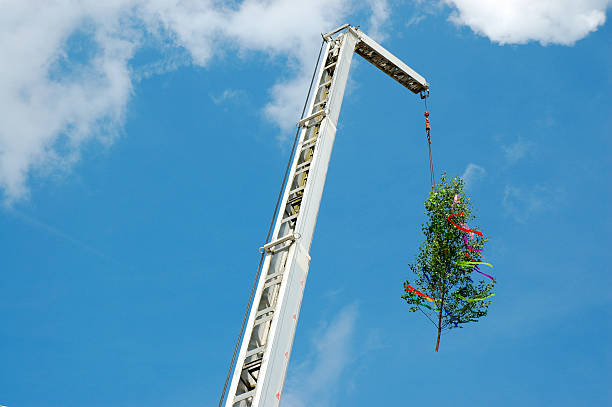 Crane levantando árvore decorada - foto de acervo