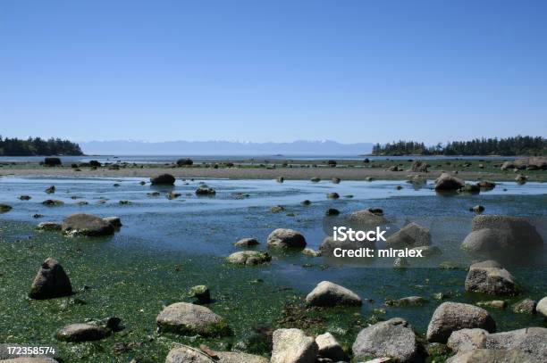 Low Tide On San Juan Island Wa Stock Photo - Download Image Now - Beach, Boulder - Rock, Landscape - Scenery