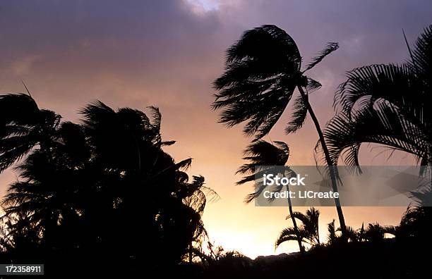 Tropical Storm Stockfoto und mehr Bilder von Hurrikan - Hurrikan, Louisiana, Big Island - Insel Hawaii