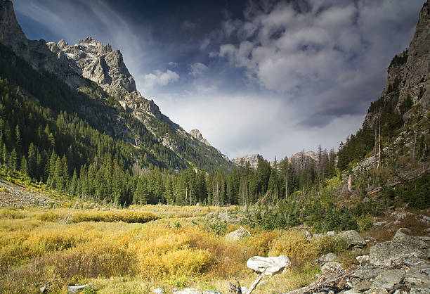 Mountain valley - foto de acervo