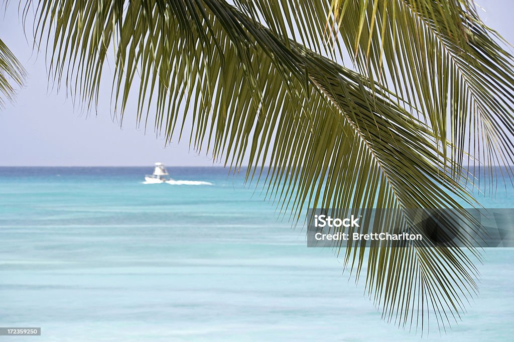 Paradis'Island - Foto stock royalty-free di Barbados
