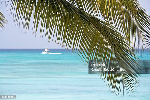 Paradisisland - Fotografie stock e altre immagini di Barbados - Barbados, Carlisle Bay, Acqua