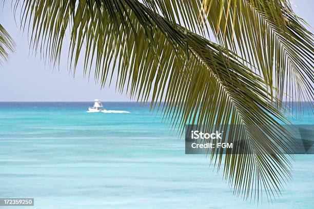파라다이스 Island 바베이도스에 대한 스톡 사진 및 기타 이미지 - 바베이도스, 칼라일 만, 나무
