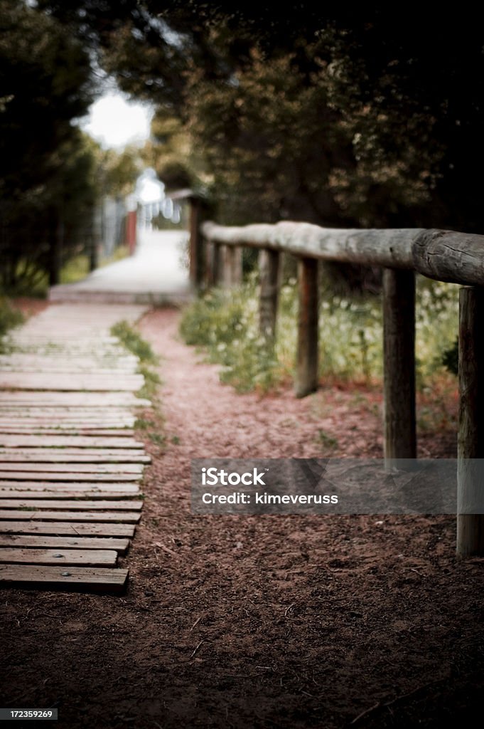 Beach walkway boardwalk sandy with trees Beach walkway boardwalk sandy with trees.  Shallow depth of field.See &#8216;The Great Outdoors&#8217; Collection Beach Stock Photo