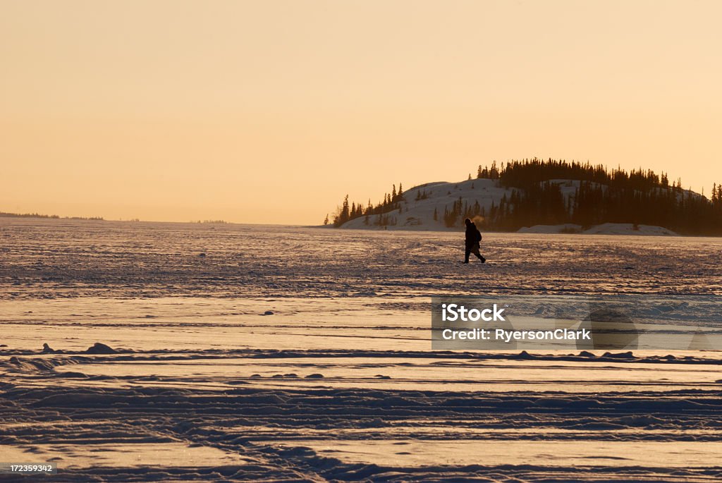 冬の散歩、イエローナイフます�。 - カナダのロイヤリティフリーストックフォト