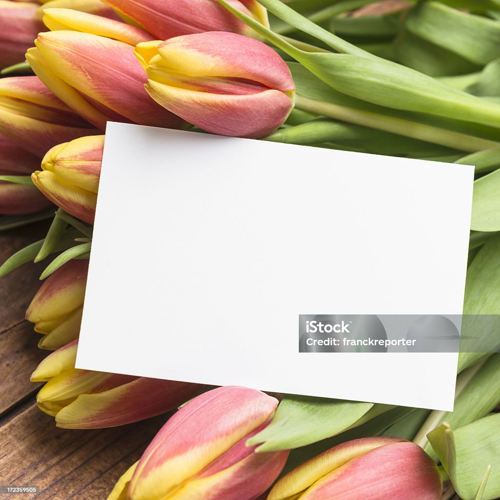 Haufen Frühling Tulpen - Lizenzfrei Balkengerüst Stock-Foto