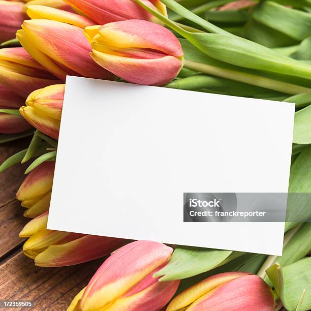 Haufen Frühling Tulpen Stockfoto und mehr Bilder von Balkengerüst - Balkengerüst, Bauholz-Brett, Baumblüte