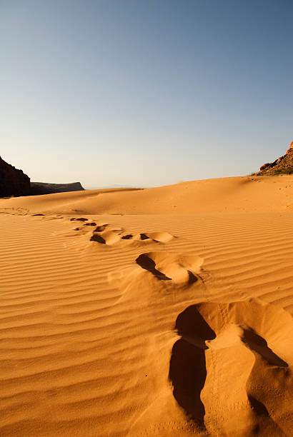 istock Foot prints in the sand dunes 172359741