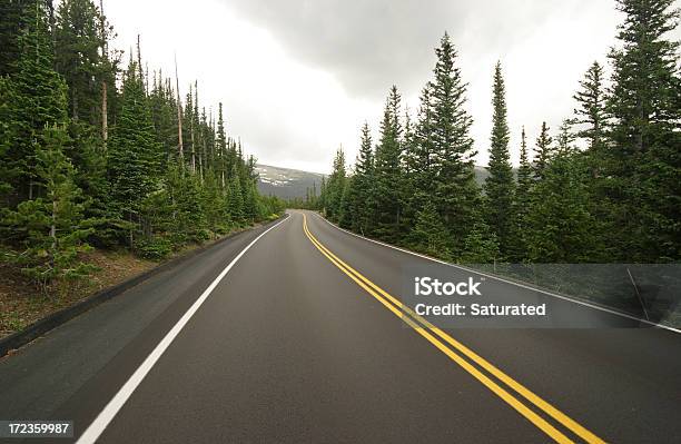 Lisa Nuevo Camino A Través De Bosques Y A Las Montañas Foto de stock y más banco de imágenes de Vía