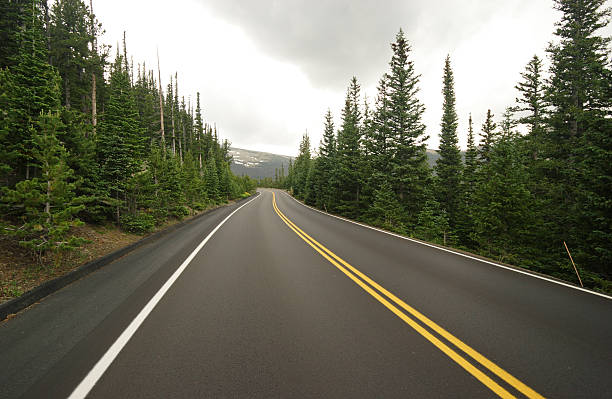 Smooth New Road Through Forest and Mountains