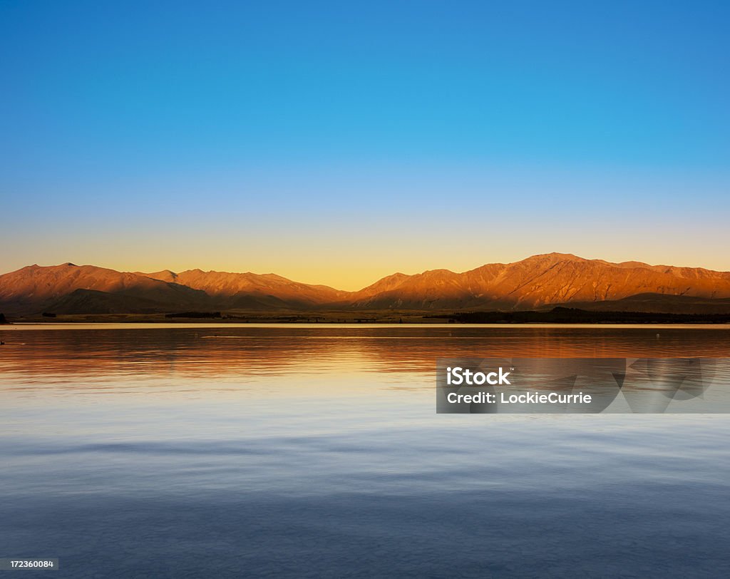 Lago Tekapo - Foto stock royalty-free di Albero