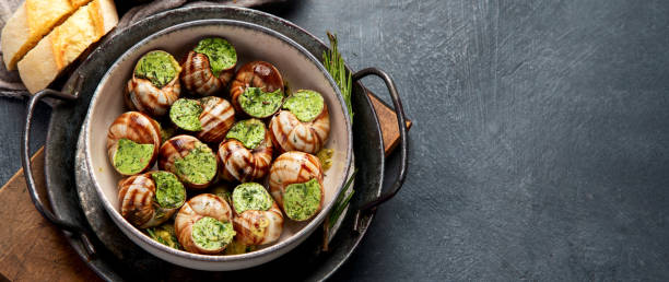 グレイの背景にカタツムリとハーブバター、フランスの伝統的な料理とパセリ、パン。 - gourmet snail food escargot ストックフォトと画像
