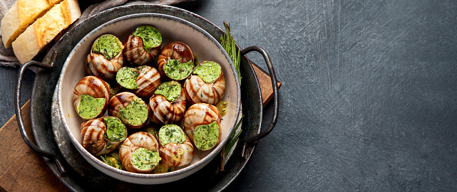 Snails with herbs butter,  French traditional food with parsley and bread on grey background. Copy space.