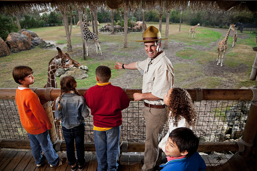 A smiling zoo administrator standing next to five young children of different multiethnic backgrounds watching giraffes in the park.   The man, who is clad in a brown hat, white shirt and brown pants, is pointing his hand towards one of the giraffes in the park.  Both the kids and the zoo keeper are standing on a raised wooden platform that has a wire mesh barrier.  Some of the kids are looking at the animals in the zoo, while others are looking away.  The zoo has several giraffes in view, with one next to the viewing gallery.