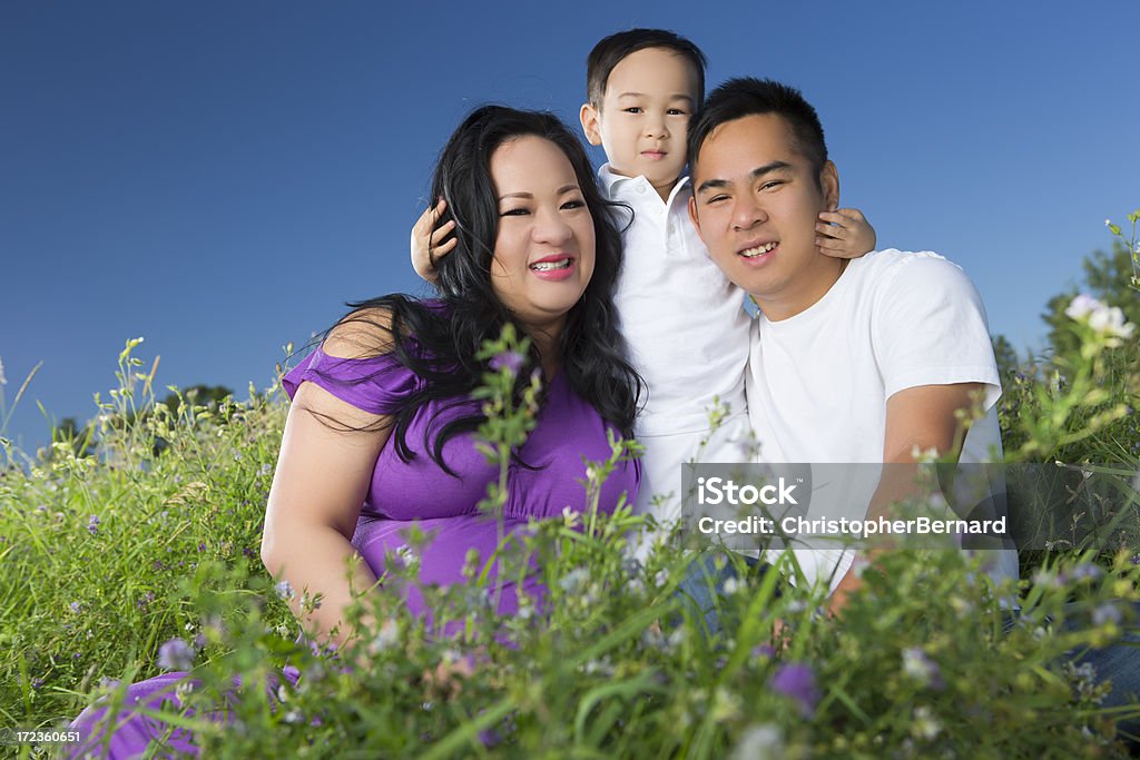 Sonriendo Retrato de familia asiática en campo - Foto de stock de 2-3 años libre de derechos