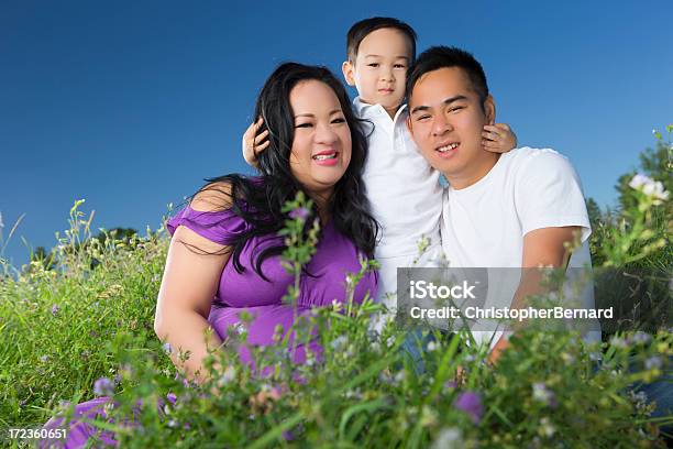 Sorridente Ritratto Di Famiglia Asiatica In Campo - Fotografie stock e altre immagini di 2-3 anni - 2-3 anni, 20-24 anni, 25-29 anni