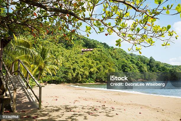 Dom Na Wzgórzu I Tobago - zdjęcia stockowe i więcej obrazów Tobago - Tobago, Australijski Outback, Bez ludzi