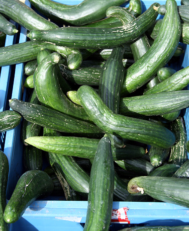 twisted cucumbers offered at a vegetable stand on a street marekt in east Germany 