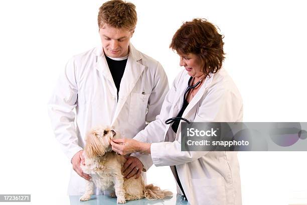 Animal Health Careexperten Stockfoto und mehr Bilder von Arbeiten - Arbeiten, Arzt, Ausgebleicht