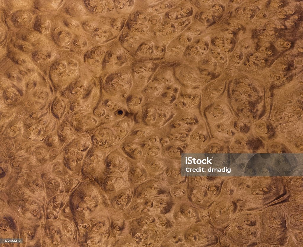 Muschio in radica di legno sfondo - Foto stock royalty-free di Muschio - Calore