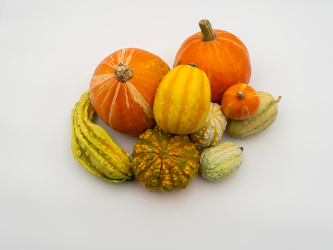 An image of a bunch of organically grown and freshly picked pumpkins. Pumpkin is the fruit of a plant of the Cucurbitaceae family generally harvested in the autumn season. Image in high definition format.