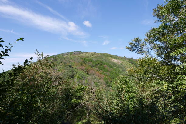 Mt. Tonodake is the highest peak along the Omote Ridge that runs between Mt. Oyama and Nabewari Ridge . It has easy access, being about 80 minutes to Shibusawa Station from both Shinjuku and Tokyo. Mt. Tonodake is the highest peak along the Omote Ridge that runs between Mt. Oyama and Nabewari Ridge . It has easy access, being about 80 minutes to Shibusawa Station from both Shinjuku and Tokyo. tanzawa mountains stock pictures, royalty-free photos & images