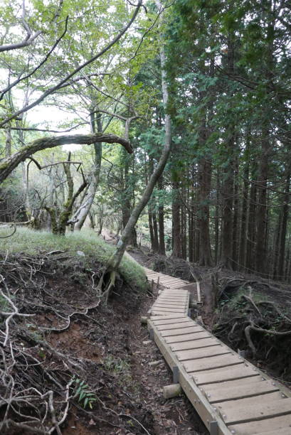 Mt. Tonodake is the highest peak along the Omote Ridge that runs between Mt. Oyama and Nabewari Ridge . It has easy access, being about 80 minutes to Shibusawa Station from both Shinjuku and Tokyo. el monte tonodake es el pico más alto a lo largo de la cresta de omote que se extiende entre el monte oyama y la cresta de nabewari. tiene fácil acceso, ya que está a unos 80 minutos de la estación de shibusawa tanto de shinjuku como de tokio.