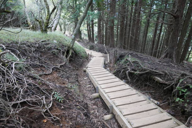 Mt. Tonodake is the highest peak along the Omote Ridge that runs between Mt. Oyama and Nabewari Ridge . It has easy access, being about 80 minutes to Shibusawa Station from both Shinjuku and Tokyo. el monte tonodake es el pico más alto a lo largo de la cresta de omote que se extiende entre el monte oyama y la cresta de nabewari. tiene fácil acceso, ya que está a unos 80 minutos de la estación de shibusawa tanto de shinjuku como de tokio.