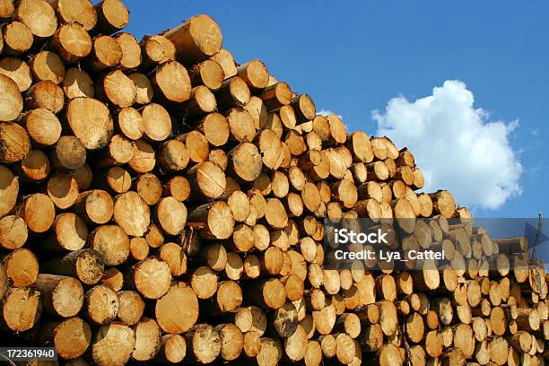 Pila Di Log 7 - Fotografie stock e altre immagini di Deposito di legname - Deposito di legname, Ammucchiare, Nube