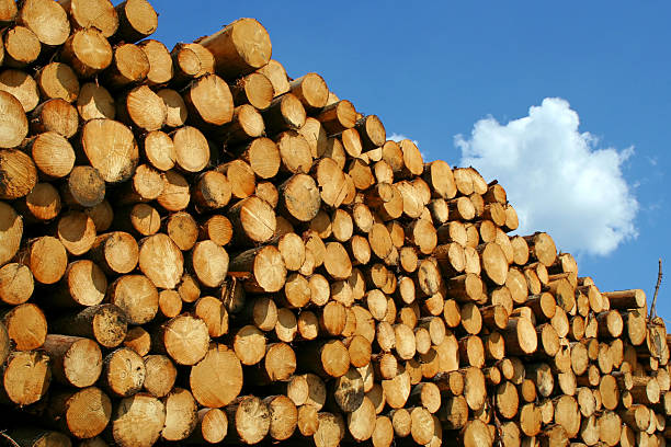 Pile of logs, please see also my other images of wood and pile of logs in my lightbox: