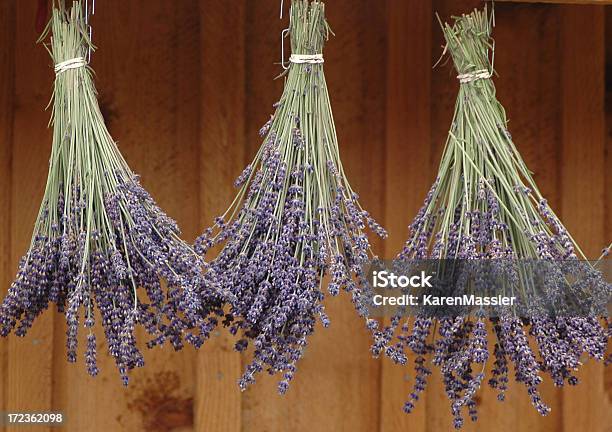 Lavendel Trocknen Stockfoto und mehr Bilder von Trocknen - Trocknen, Lavendel, Blumenstrauß