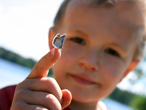 boy holding a butterfly on his hand selective focus. Nature