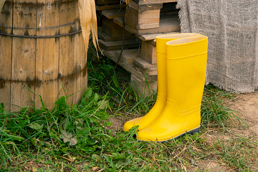 yellow rubber boots on the farm.