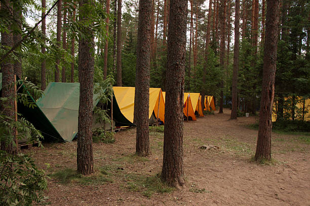 istock Camping in a wood 172363133