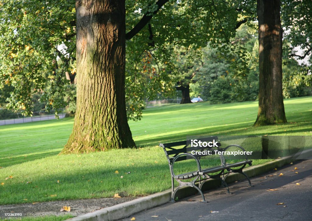 Banco del parque con árboles - Foto de stock de Parque público libre de derechos