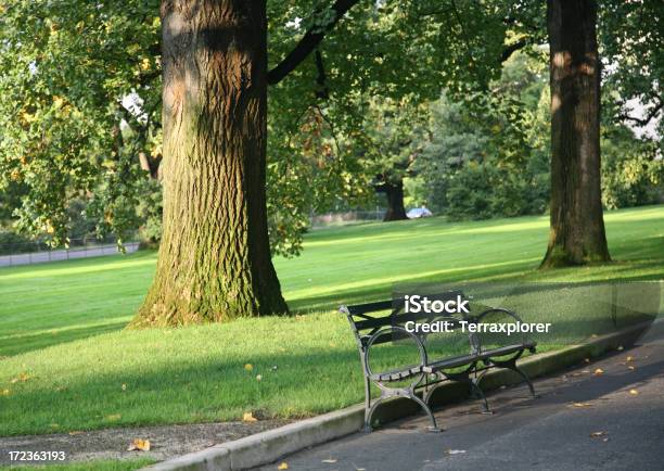 Banco Del Parque Con Árboles Foto de stock y más banco de imágenes de Parque público - Parque público, Bronx, Estado de Nueva York