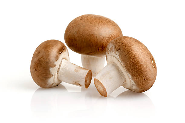 hongos - edible mushroom crimini mushroom fungus brown fotografías e imágenes de stock