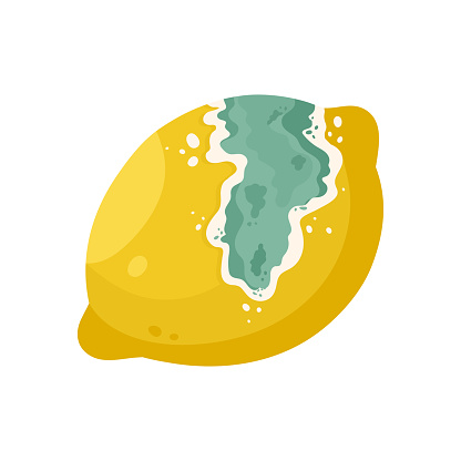 Rotten lemon fruit. Bad unhealthy food from kitchen, moldy expired product cartoon vector illustration
