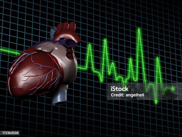 Ecgelectrocardiogram Mit Menschliches Herz Auf Dem Bildschirm Stockfoto und mehr Bilder von Analysieren