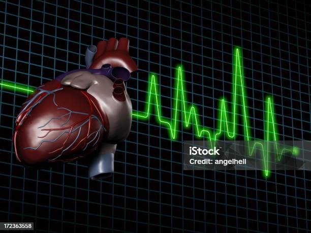 Elettrocardiogramma Con Cuore Umano Su Schermo - Fotografie stock e altre immagini di Analizzare