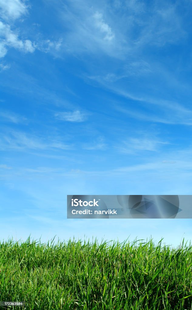 Herbe verte et ciel bleu - Photo de Ciel sans nuage libre de droits