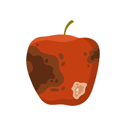 Old rotten apple fruit. Bad unhealthy food from kitchen, moldy expired product cartoon vector illustration