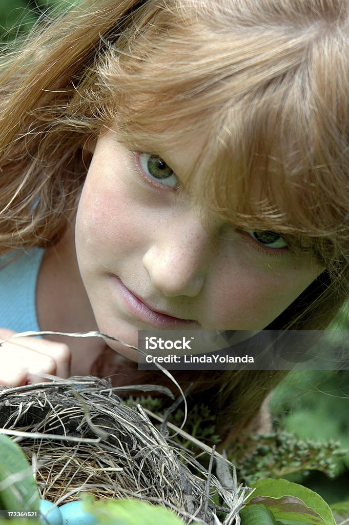 Criança e Bird's Nest - Foto de stock de Achar royalty-free