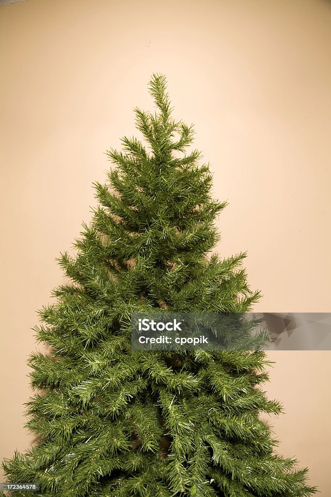 Weihnachtsbaum gegen Sandbraun - Lizenzfrei Ast - Pflanzenbestandteil Stock-Foto