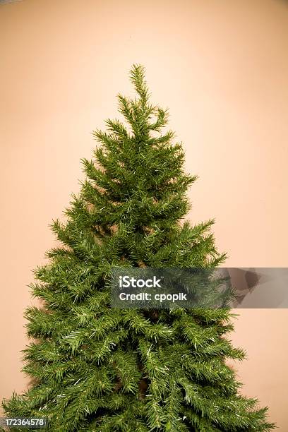 Weihnachtsbaum Gegen Sandbraun Stockfoto und mehr Bilder von Ast - Pflanzenbestandteil - Ast - Pflanzenbestandteil, Baum, Christbaumkugel