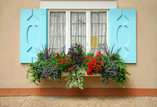 A European style windowbox with an extensive floral arrangement