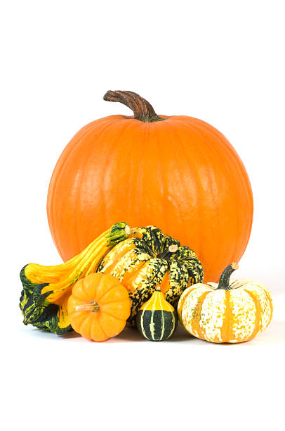istock Direct shot of an autumn harvest 172365071